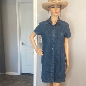 L.L. Bean women’s down dress 10 P